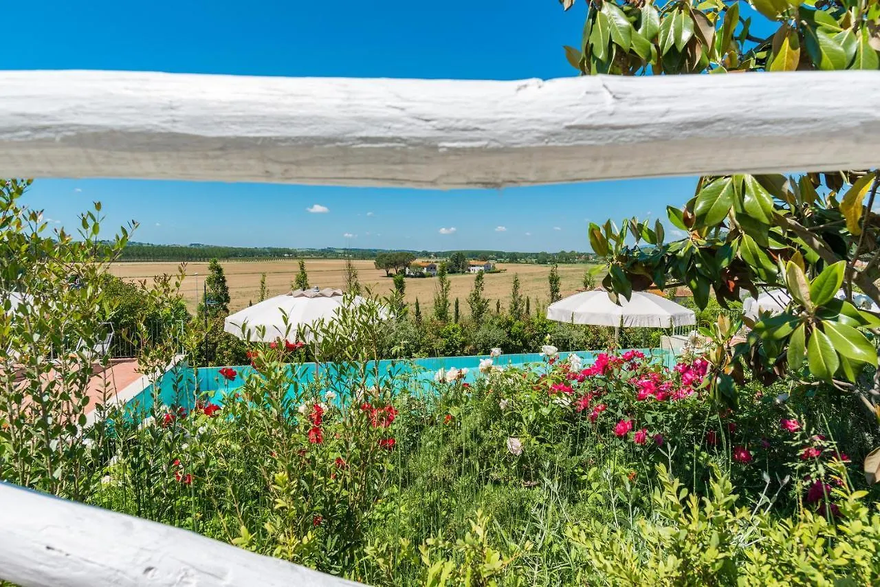 Luxury Villa In Tuscany With Pool Near Pisa And Florence - 20Pl Molino del Roglio